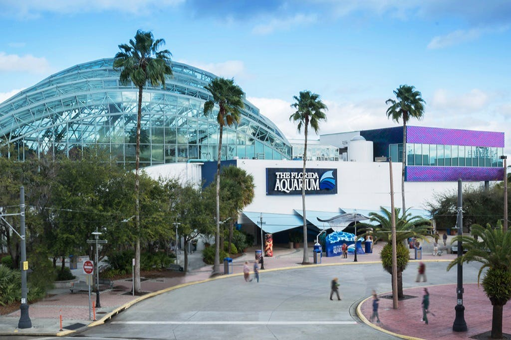 The Florida Aquarium Tickets - Photo 1 of 8